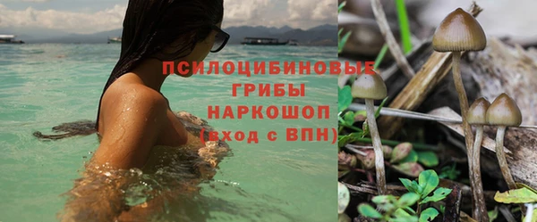 гашиш Абаза