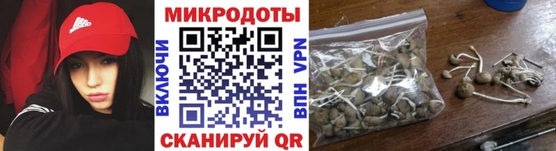 Галлюциногенные грибы Psilocybine cubensis магазин наркотиков Приморско-Ахтарск